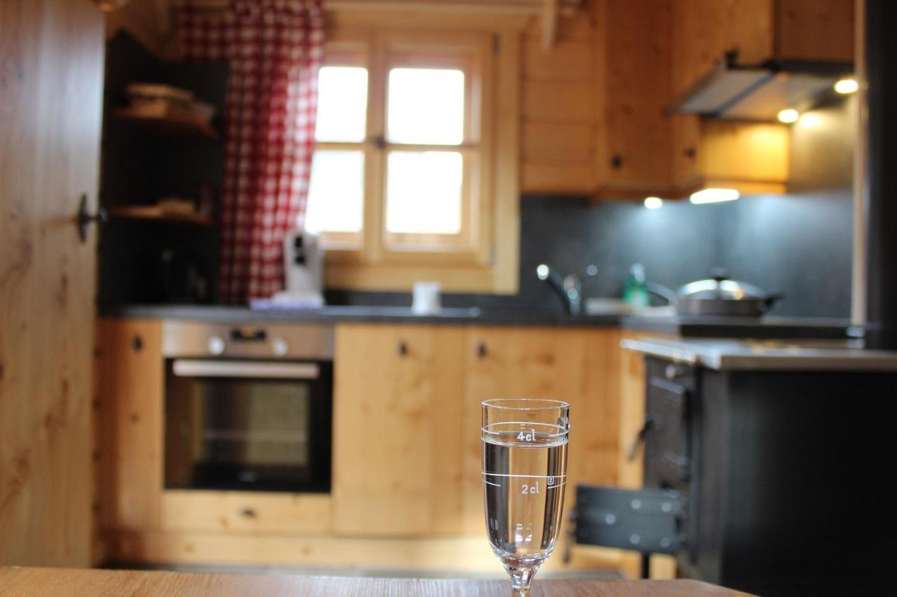 Schlosswirt Chalets & Apartments Großkirchheim Екстериор снимка